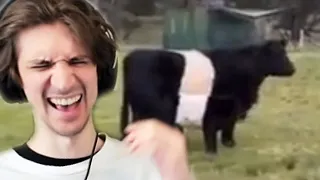 xQc CAN'T STOP LAUGHING at UNUSUAL MEMES COMPILATION V152