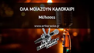 Όλα μοιάζουν καλοκαίρι (#Karaoke) - Μέλισσες