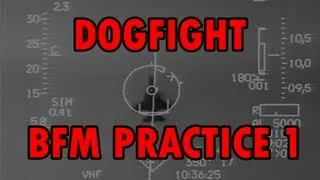 Falcon 4 BMS DOGFIGHT! BFM ACM Practice 1v1 Guns Only