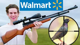 Hunting with Walmart’s Cheapest PCP Air Rifle!