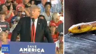 Trump reads “the snake” to rally attendees