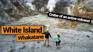 👷🌋 White Island Active Volcano Tour in Whakatane – New Zealand's Biggest Gap Year