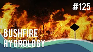 Bushfire hydrology