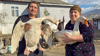 GRANDMA COOKING CAKE WITHOUT FLOUR! 2 BIG GEESE IN TANDOOR | RELAXING VILLAGE LIFE FAMILY