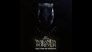 Black Panther Wakanda 2022 Soundtrack | They Want It, But No – Tobe Nwigwe and Fat Nwigwe |