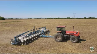 Working Ground & Planting Soybeans | Deutz Allis & Agco Allis Tractors