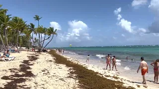 Пунта Кана/Доминиканская республика/Пляж/Атлантический океан/Punta Cana/Dominican Republic