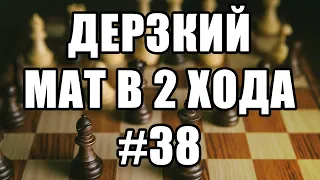 Шахматные задачи мат в 2 хода. Выпуск №38. Решение задач. Шахматы задачи. Мат в два хода.