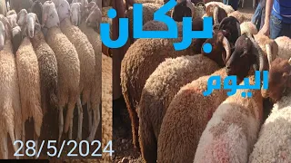 اثمنة الاضاحي بسوق بركان ليومه الثلاثاء 28/5/2024 ولكم الحكم