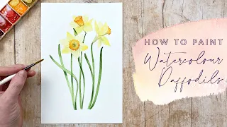 How to Paint Watercolour Daffodils