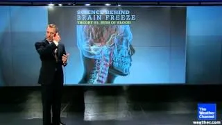 The Science Behind "Brain Freeze"