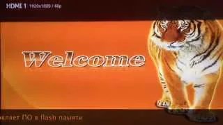 Видео обзор прошивка Tiger X80 HD