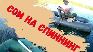 Сом на спиннинг