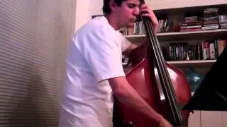 Fly Me to the Moon Upright Bass