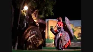 El Toro Mambo (Sinaloa)-Ballet Juvenil del Ayuntamiento de Mérida