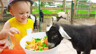 Chris e mamãe alimentando animais na fazenda