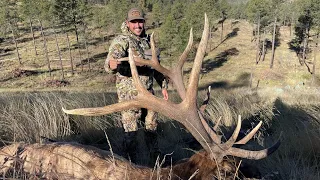 BIG BULL DOWN!! New Mexico Elk Hunt On Public Land