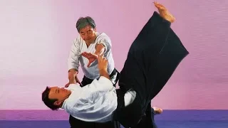 Aikido Technique