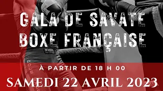 Live Gala des Ratels 2023 - Savate Boxe Française