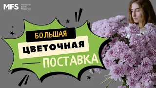 ОБЗОР | Разгребаем большую цветочную поставку | MFS TV