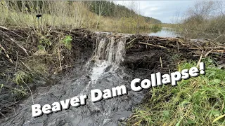 Draining HUGE Channel! The Dam COLLAPSED!