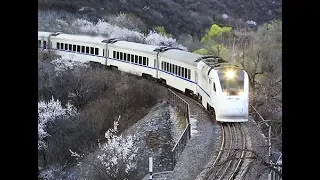 Des trains qui roulent vers le printemps|CCTV Français