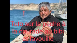 Tuto sur la pêche à la daurade au bibi et favouille