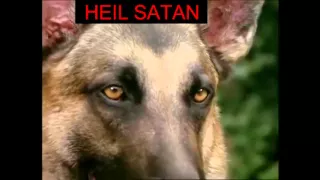 Devil Dog from Hell peteys favorite scene