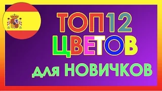 ТОП 12 Цветов в Испанском языке для Начинающих