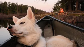 3 Night Spring Camp with my Dog - Open Tarp Camping and Catching my Biggest Spec Ever!