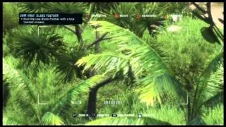 Far Cry 3 - Path of The Hunter Gameplay - Black Panther