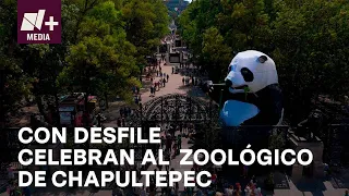 Zoológico de Chapultepec celebrará 100 años con desfile - N+