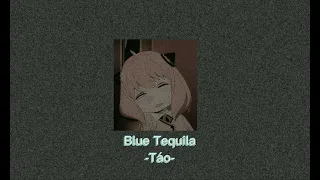 Blue Tequila - Táo | [Lofi]