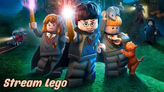 Играю с младшим братом жены в Lego Harry Potter