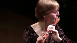 Bach: Suite 2 for flute - Bouree, Polonaise, Minuet, Badinerie