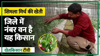 Farmer's Success Story | Capsicum Farming in Shade Net House | शिमला मिर्च की खेती | Krishi Earth