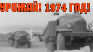 ХРОНИКА СССР! 1974 ГОД Ровенский район Саратовская область