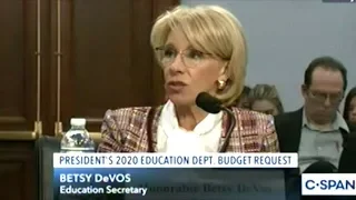 Secretary Betsy DeVos Testifies Before Congress On The Department Education 2020 Budget