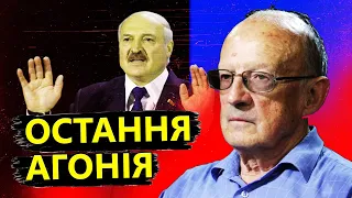 ТЕРМІНОВІ новини! ПІОНТКОВСЬКИЙ про ПРОВОКАЦІЮ Лукашенка у ПОЛЬЩІ / Ви маєте це почути! @FeyginLive