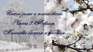 Итоги зимы 2020-21. Планы на весну. Вышивка бисером и крестом. Ч.3. Февраль.