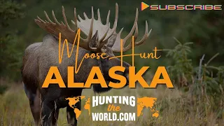 Yukon Moose | Alaska | Hunting the World |2020