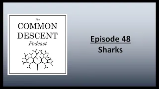 Episode 48 - Sharks