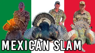3 Turkey Subspecies South of Border - Mexican Slam
