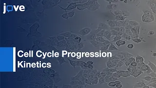 Measuring Cell Cycle Progression Kinetics With Metabolic Labeling/Flow Cytometry l Protocol Preview