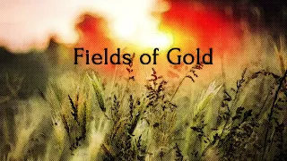 Fields of Gold (Eva Cassidy) cover with lyrics by Anja