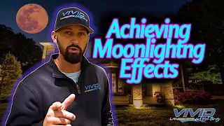 Landscape Lighting Design - Moonlighting & Niche Lights