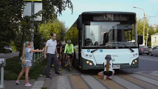 Слепая зона автобус на пешеходном переходе