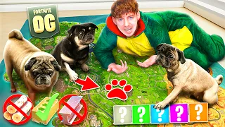 Meine HUNDE entscheiden ALLES in OG FORTNITE! 😱🔥