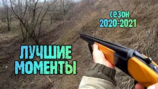 ЛУЧШИЕ МОМЕНТЫ охота НА ЗАЙЦА и Фазана (ПЕРЕЗАЛИВ) СЕЗОН ОХОТЫ 2020-2021 ТОЗ 34 И ИЖ 27