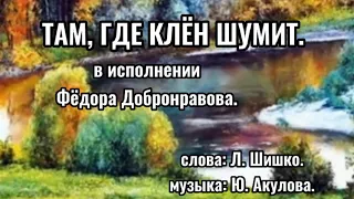 ТАМ, ГДЕ КЛЁН ШУМИТ.